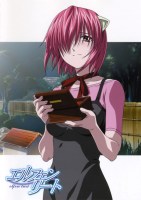 Elfen_Lied_______51bcc4ff103d5.jpg